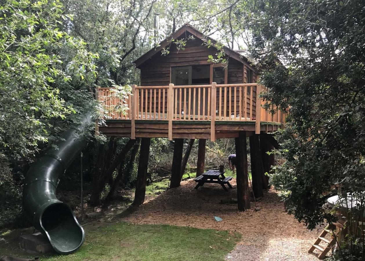 Florence Springs Glamping Gumfreston Екстер'єр фото